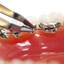 Lingual Reversed Ligature Cutter 40° angle, internal cutting surfaces