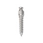 Absoanchor Small Head Microimplant 10mm Dia 1.3