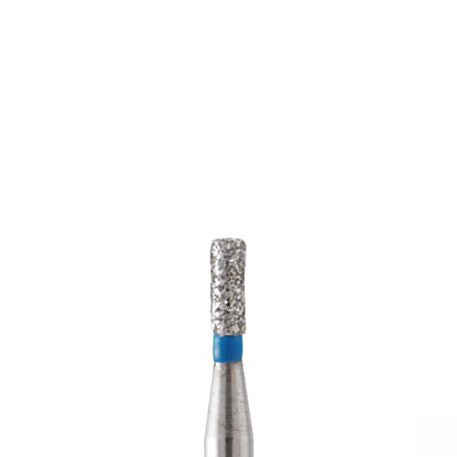 Diamond + Bur FG 541