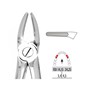 Forceps - Autoclavable 7 Upper Roots & Bicuspids