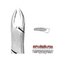 Forceps - Autoclavable 76N Small Upper Roots (Read)