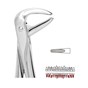 Forceps Premier Range - Autoclavable 74N Small L Roots & Crowded Incisors