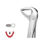 Forceps Premier Range - Autoclavable 123 Child Lower and Roots