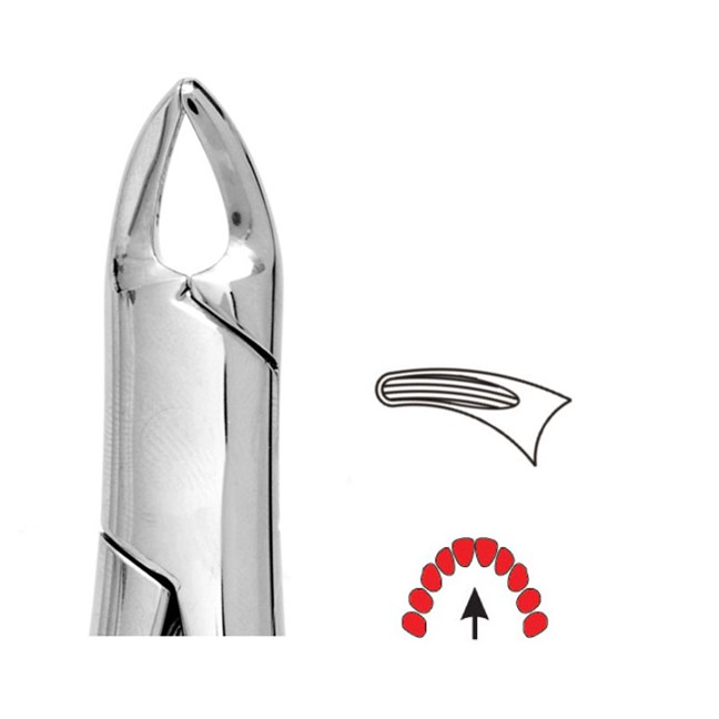 Forceps Premier Range - Autoclavable 138 Child Upper and Roots