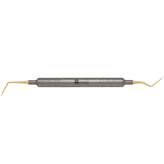 Probe DG16 8mm handle Stainless Steel