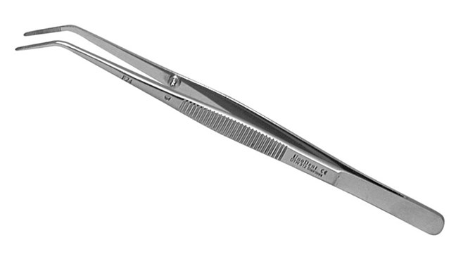 Tweezers - College Type - Angled