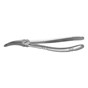 Root Forceps Lower