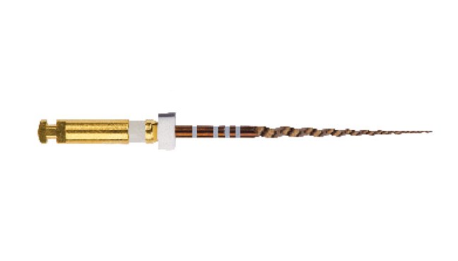 ProTaper Gold Sterile 21mm S2