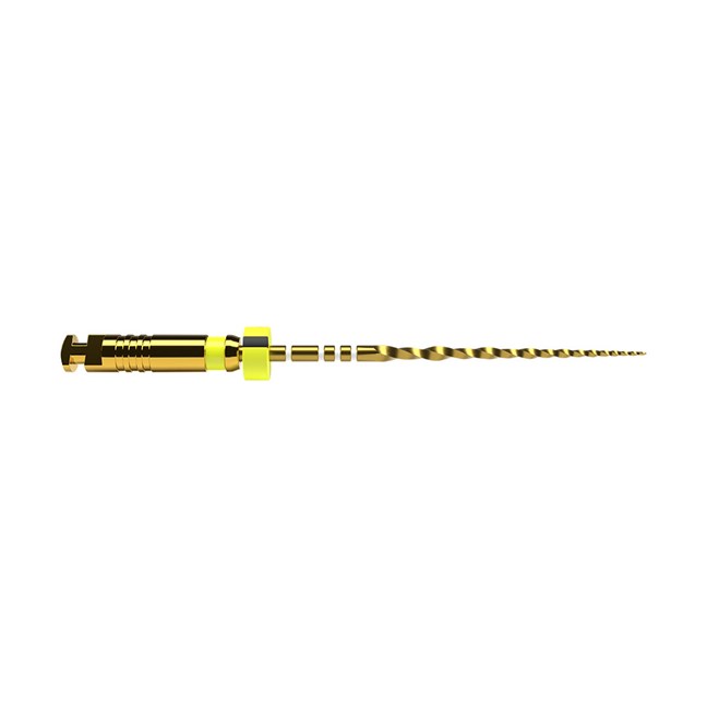 ProTaper Ultimate File F1 21mm