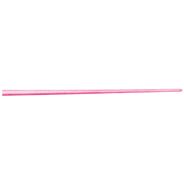 Auxillary Gutta-Percha Points 24mm Size A