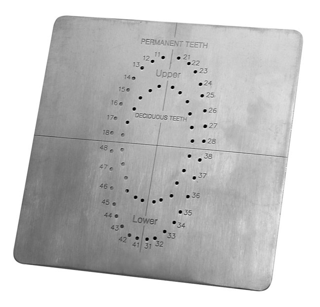 Rubber Dam Template