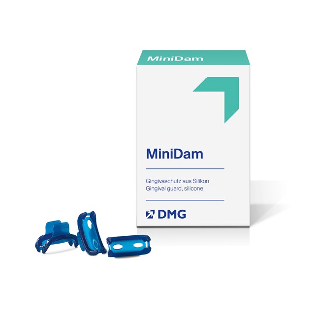 MiniDam