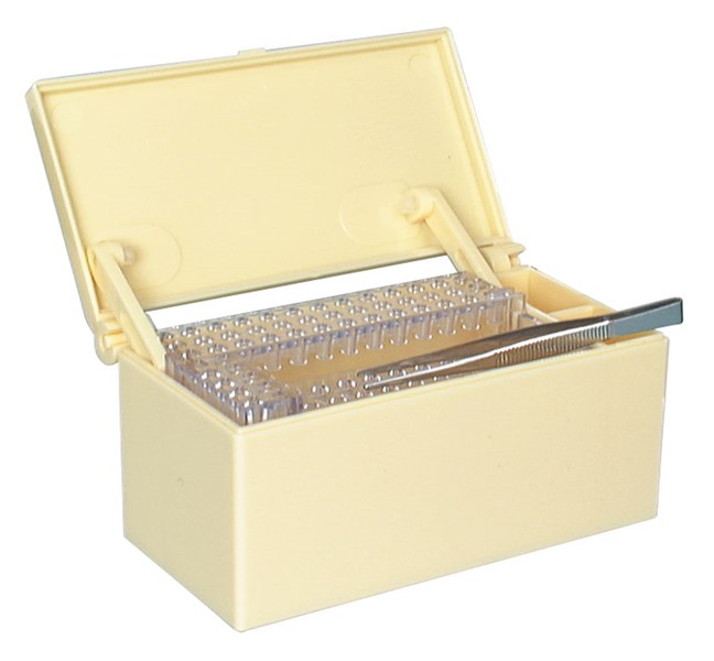 D7 II Endo Box - Ivory
