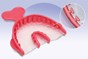 T-Loc Triple Trays 3/4 Arch