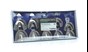Stainless Steel Impression Trays Plain Assorted