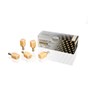 CERASMART270 CEREC LT A3 Size 14