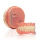 Ivotion Dent Multi A3 98.5-20mm/1
