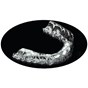 Essix Retainer Sheets C+ 040'' Round 120mm