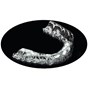 Essix PLUS.040 5'' Square Retainer Sheet (1APL40S5)