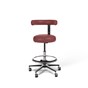 Dental Stools ic-DSA Brick