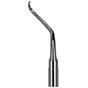 Scaling Tips S-Type Endo Tip AH4R