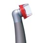Healozone Application Cap 5mm x 6mm Purple