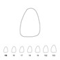 Temporary Crowns Upper Central Incisors Left 15