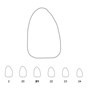 Temporary Crowns Upper Lateral Incisors Right 21