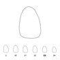 Temporary Crowns Upper Lateral Incisors Right 23