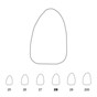 Temporary Crowns Upper Lateral Incisors Left 28