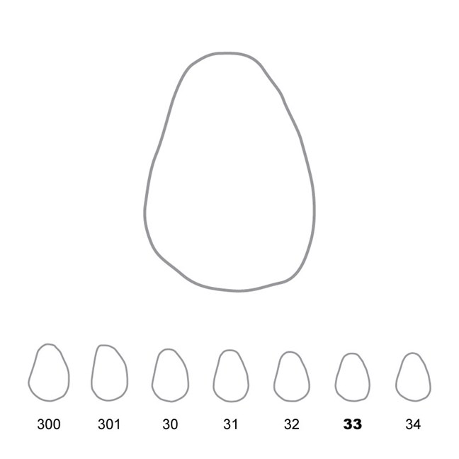Temporary Crowns Upper Canines Right 33