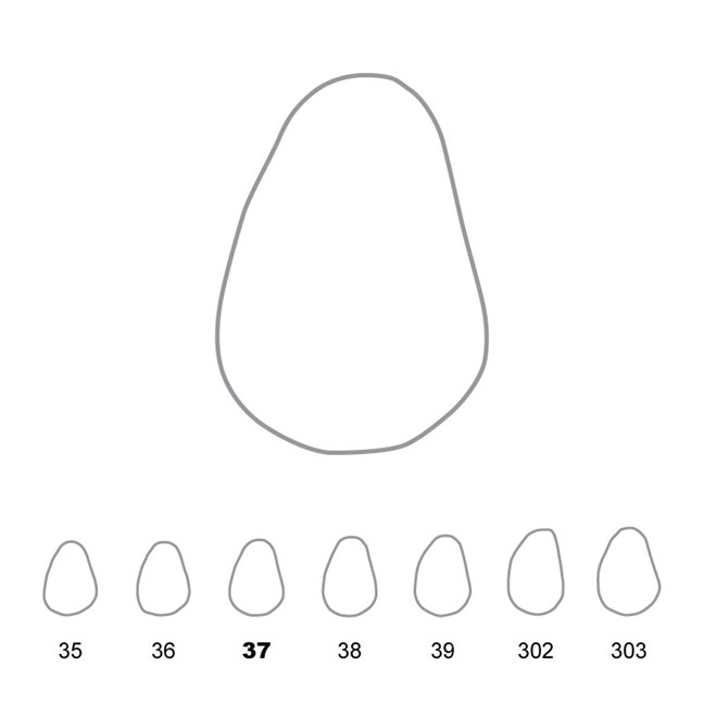 Temporary Crowns Upper Canines Left 37