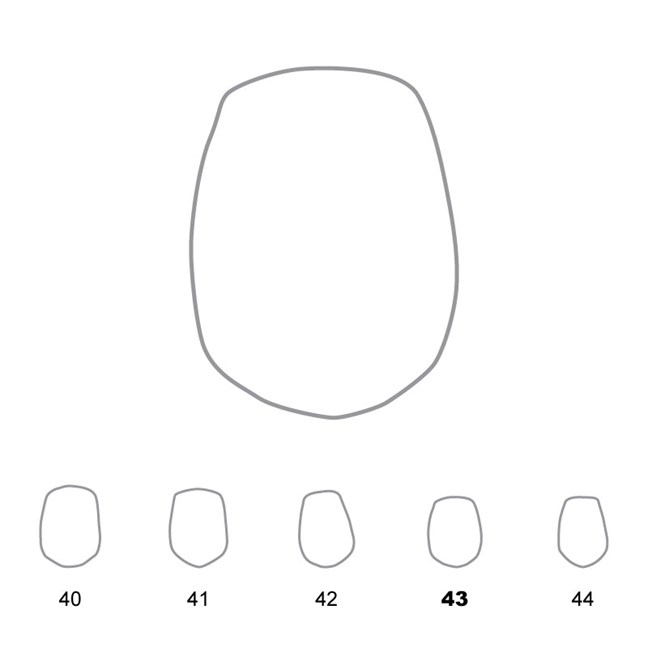 Temporary Crowns Upper Premolars 43