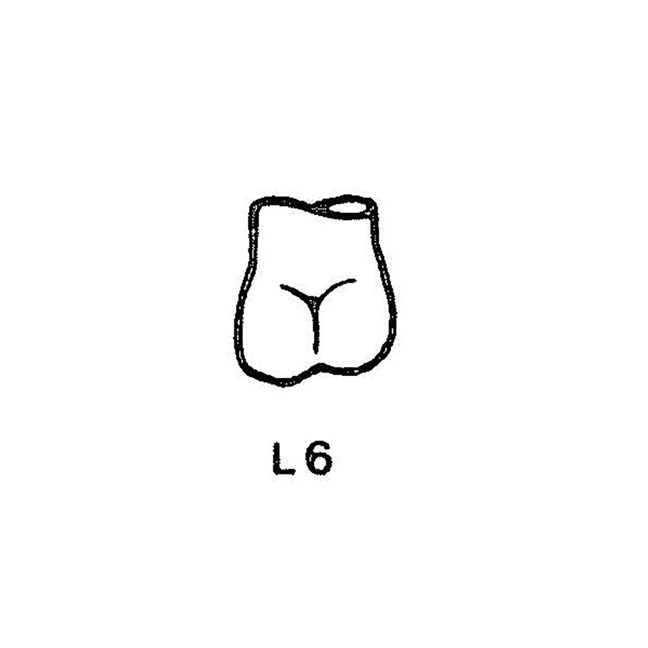 FullForm OP Temporary Transparent Crowns L6