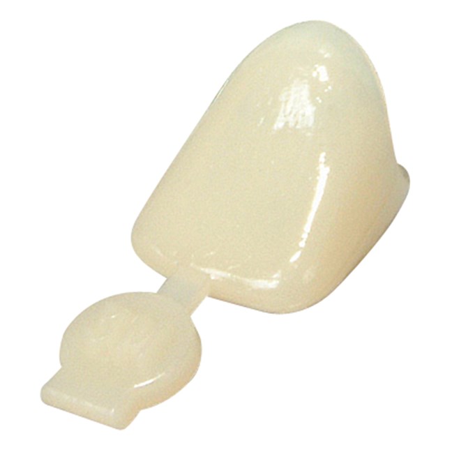 Polycarbonate Crowns Centrals Upper Left 19