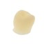 Protemp Crown Bicuspid Lower Kit