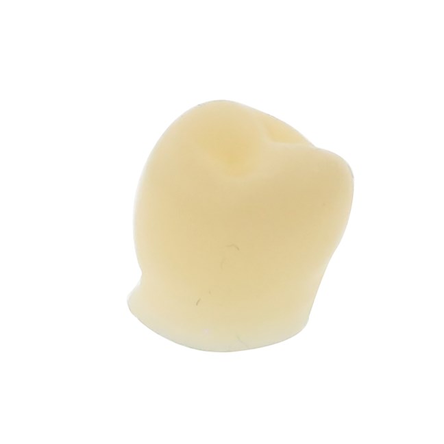 Protemp Crown Bicuspid Lower Kit