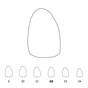 Temporary Crowns Upper Lateral Incisors Right 22