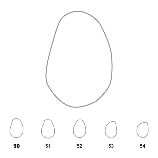 Temporary Crowns Lower Premolars 50