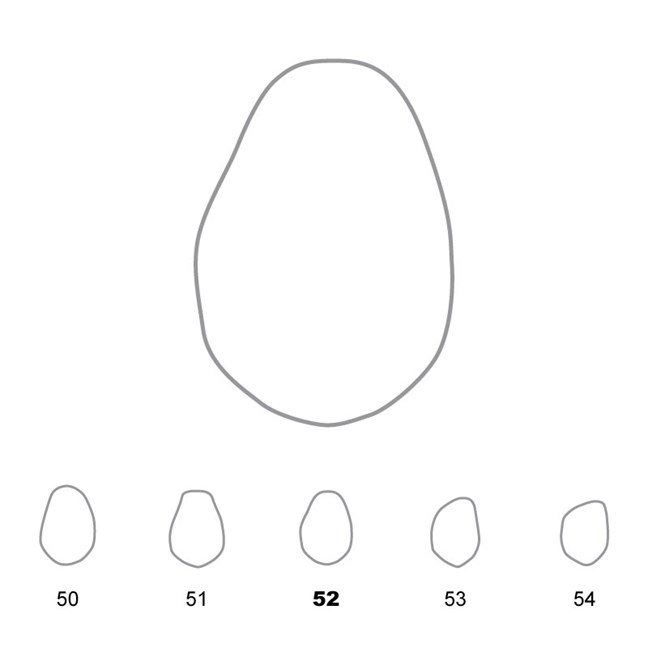 Temporary Crowns Lower Premolars 52