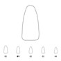 Temporary Crowns Lower Incisors 61