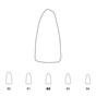 Temporary Crowns Lower Incisors 62