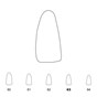 Temporary Crowns Lower Incisors 63