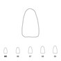 Temporary Crowns Lower Incisors 65