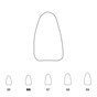 Temporary Crowns Lower Incisors 66