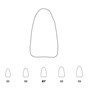 Temporary Crowns Lower Incisors 67