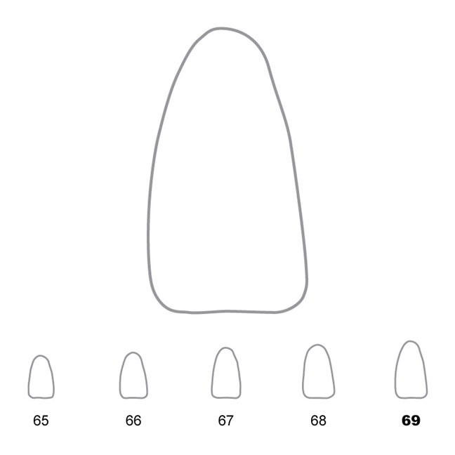 Temporary Crowns Lower Incisors 69