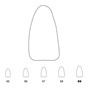 Temporary Crowns Lower Incisors 69