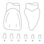 Odus Pella Transparent Crown Forms. Centrals 1