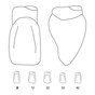 Odus Pella Transparent Crown Forms Laterals 2